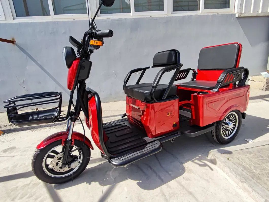 Best Offer EEC Coc Electric Tricycle with Foldable Seat Box for Passenger Elders for Europe