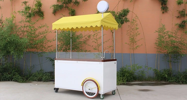 Rl-T08A Mobile Street Food Kiosk Cooking Shop Food Truck for Sale Cargo Bike Family 3 Wheel Electric Tricycle Adult