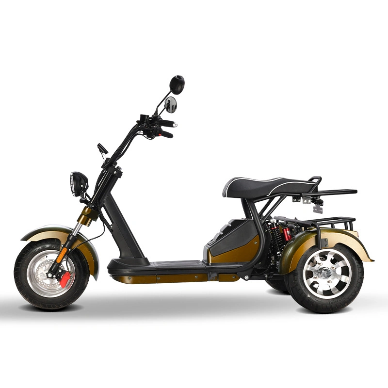 Electric Bike Citycoco Adult 60V Electric Tricycle 2000W Electric Tricycles Electric Three Wheel Tricycle Electric Bike