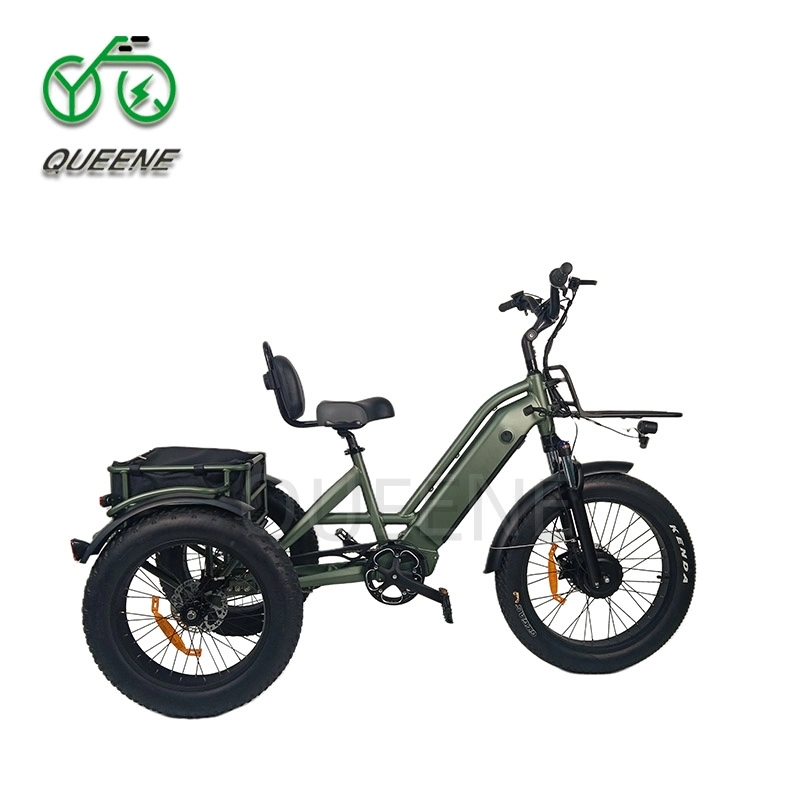 Wholesale 750W/500W 3 Wheel Cargo Chainless Electric Tricycle Fat Tire Electric Bike for Adults