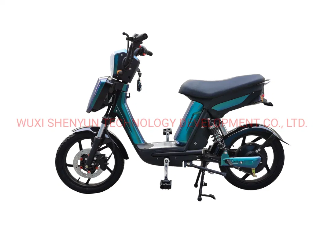 Cool Design EEC 2 Wheeled Electric Scooter Powerful 800W Electric Mobility Bike