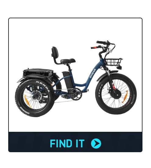 Dual Battery 48V40ah Fat Tire Electric Tricycle 3 Wheel Ebike