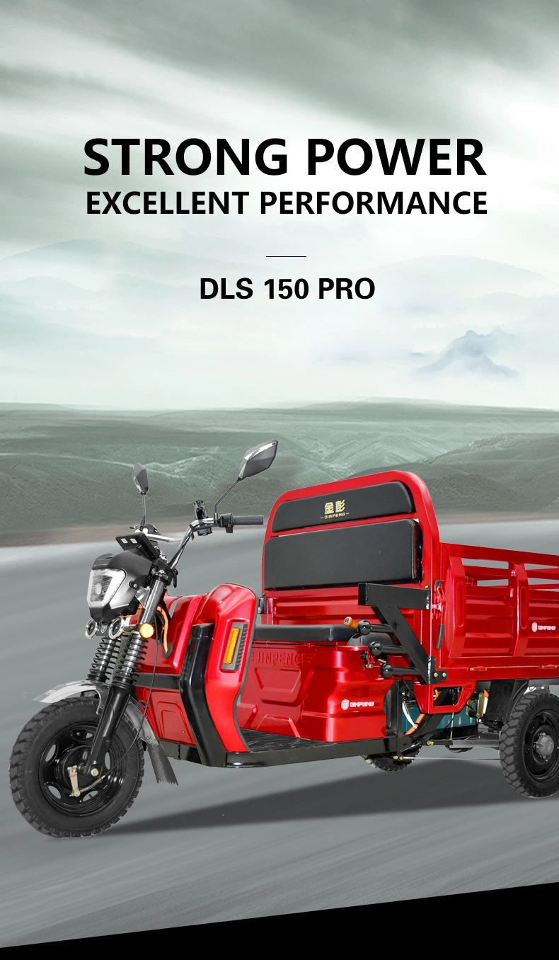 Jinpeng Dls150PRO Battery Powered China Factory EEC Certified Electric Tricycle