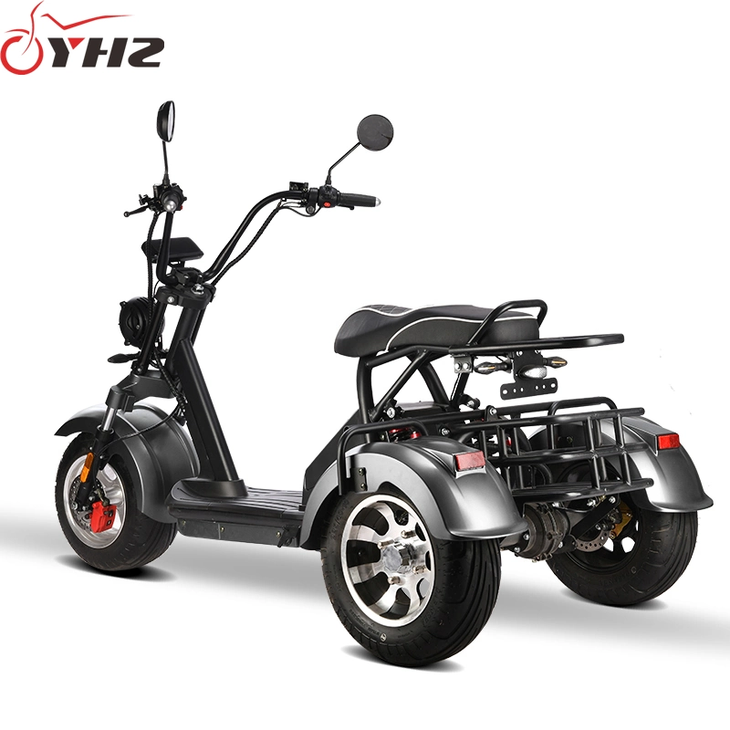 New Three Wheels Electric Motorcycle EEC Approved 2000W Trike with Basket