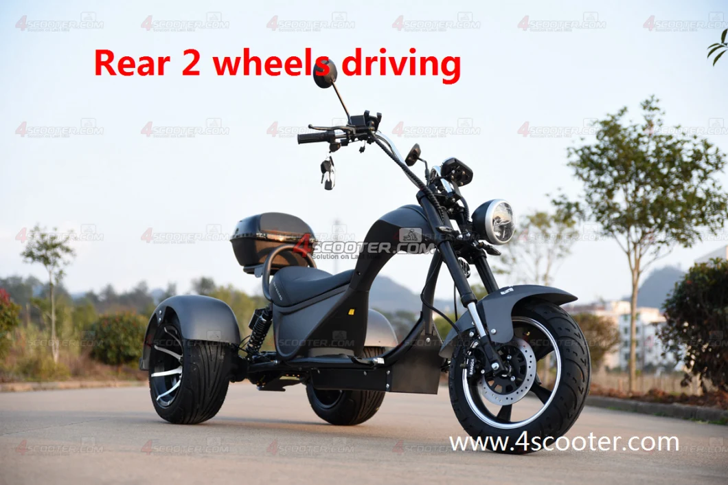 EEC 4000W 5000W Dual Match Citycoco Chopper Trike Scooter Three Wheel Electric Motorcycle