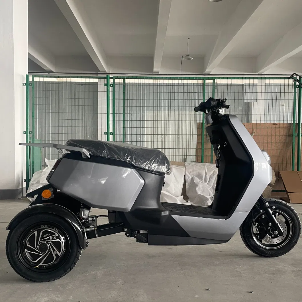 High Quality Low Speed Electric Tricycle with EEC and Lead-Acid Battery Three Wheel Electric Scooter 500W Electric Bike