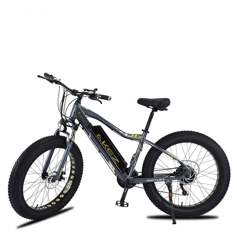 Two-Wheeled Electric Scooter 26inch Fat Tire 750W Snow Ebike