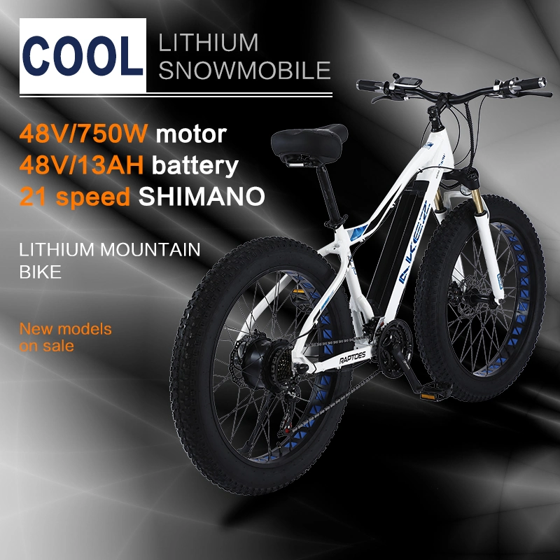 Two-Wheeled Electric Scooter 26inch Fat Tire 750W Snow Ebike