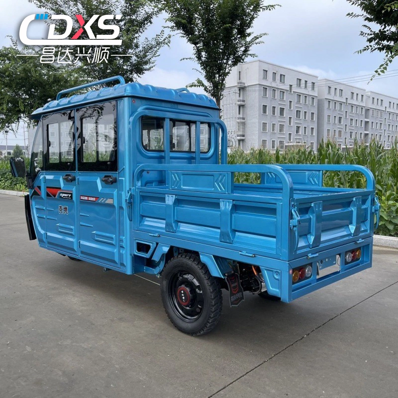 Adult Electric Tricycle Three Wheel Household Passenger and Cargo Tricycle Hill Climbing High-Power Electric Suitable for All Kinds of Roads Metal Body