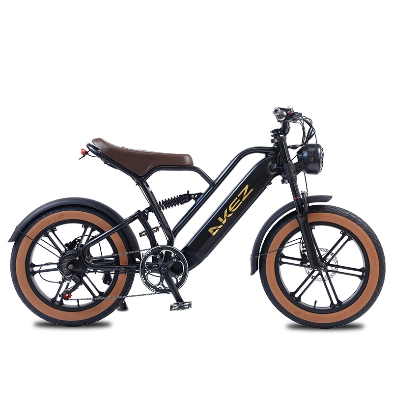 Two-Wheeled Electric Scooter 26inch Fat Tire 750W Snow Ebike