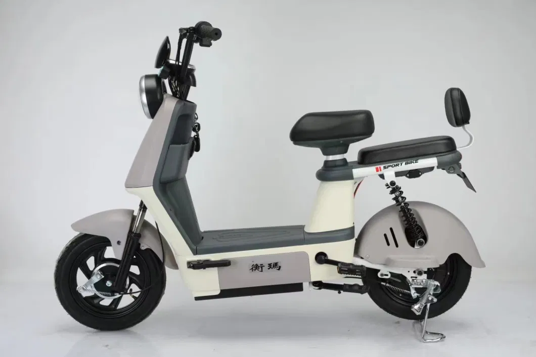 The Latest Electric Bike/Adult Two Wheeled Electric Scooter