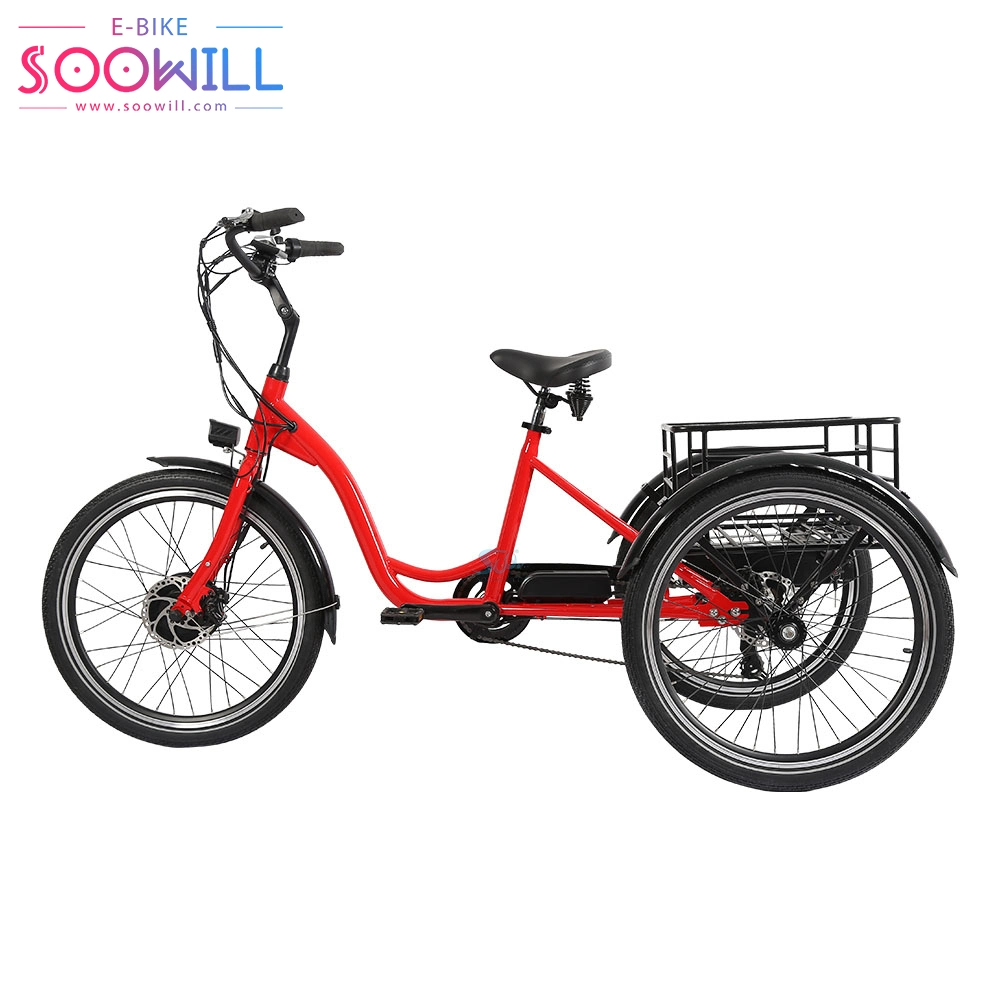 Hot Sale 24-Inch Electric Cargo Bike Fe Front Fork Tricycle