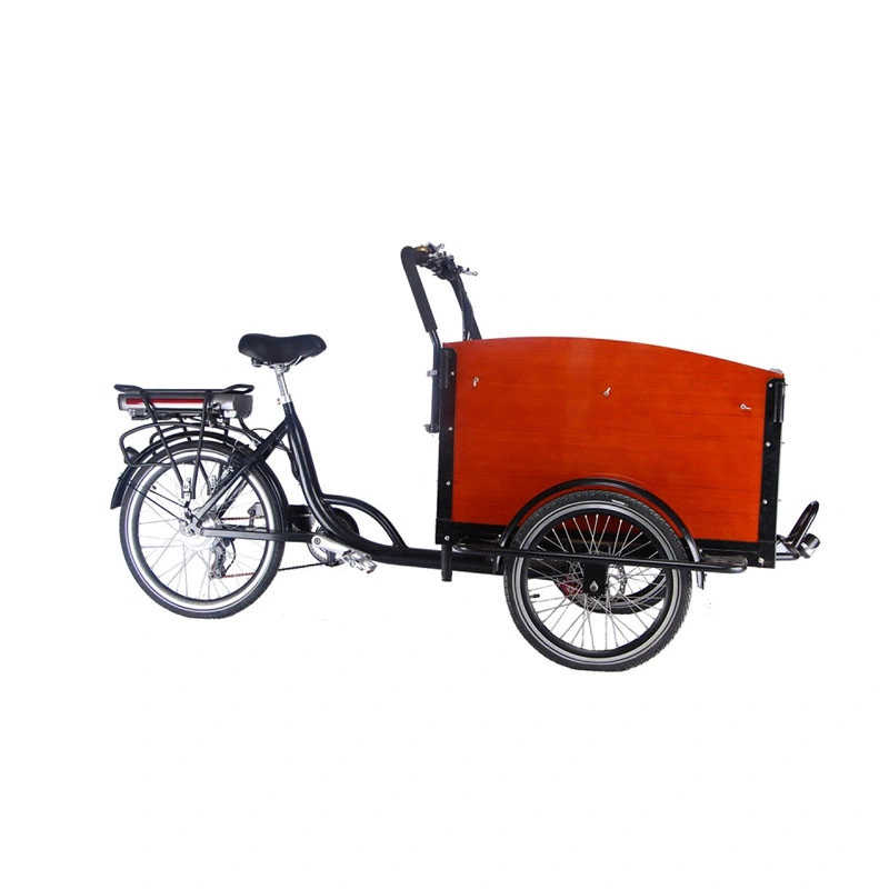 3 Wheels Pedal Electric Cargo Bike Dutch Adult Tricycle Family Bicycle Street Kids Scooter for Sale Customizable