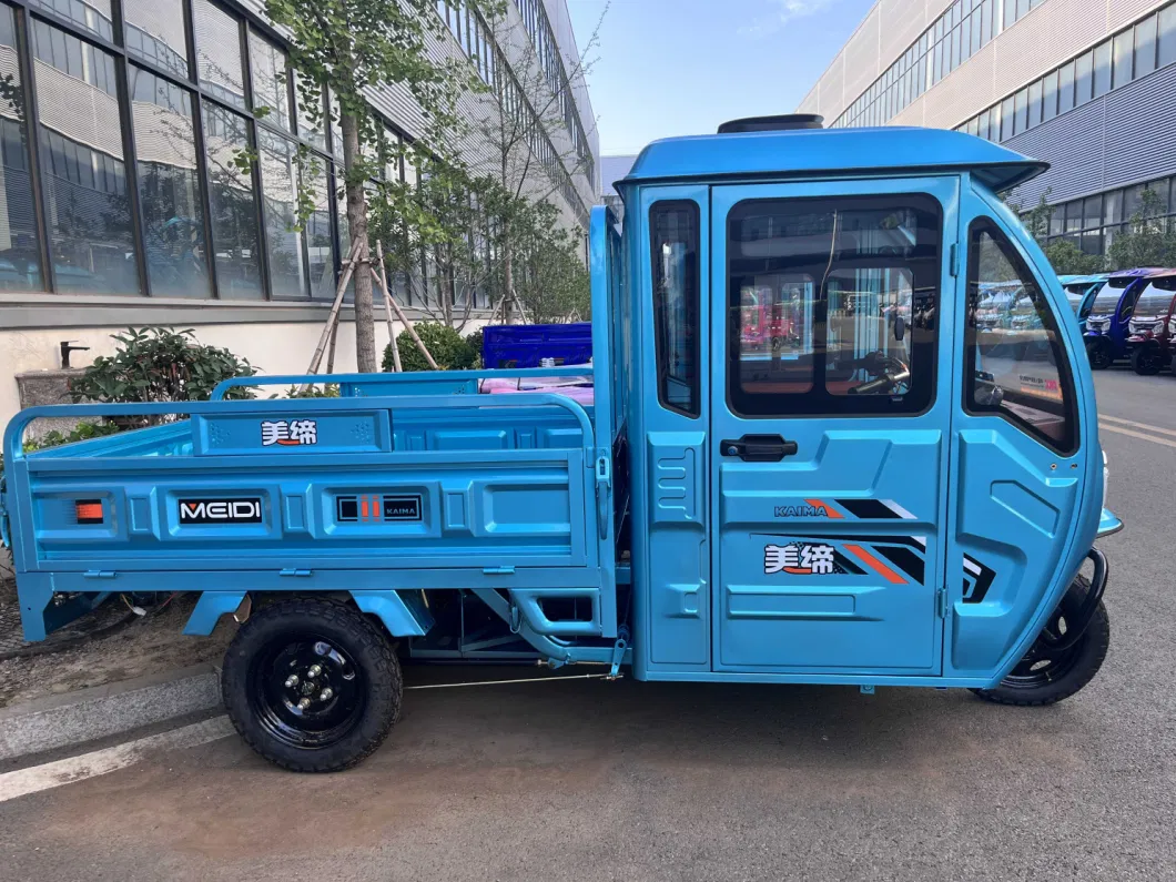 Three-Wheeled Electric Bike with Cargo Space