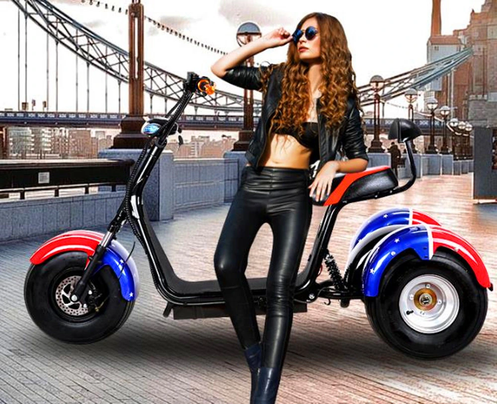 Citycoco Tire Fat Double Seat 3 Wheel Scooters Electric Adult Tricycle Citycoco