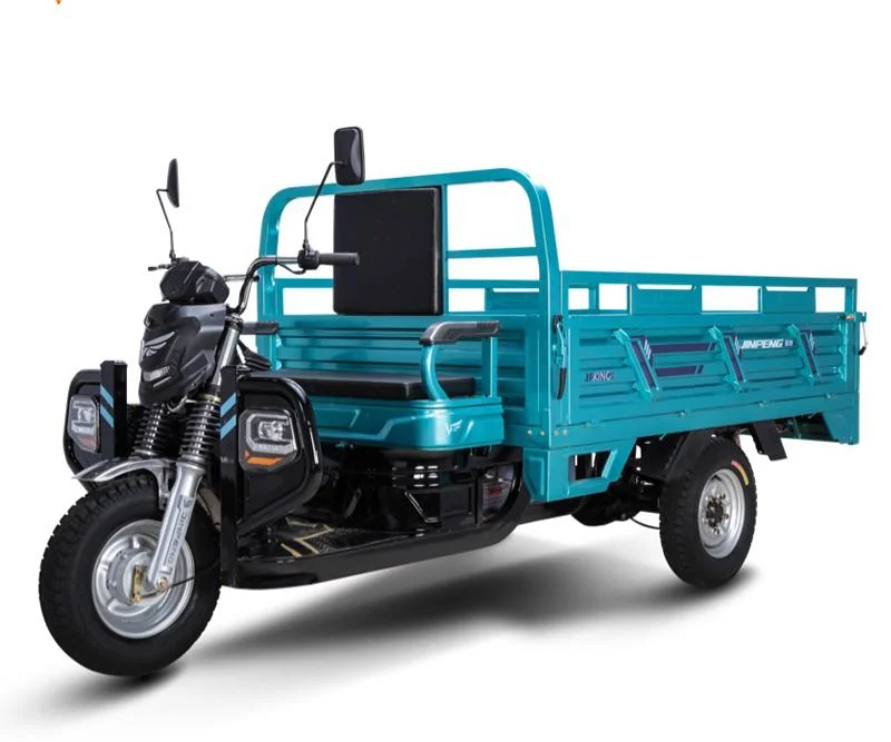 Factory Cargo Bike Full Closed Electric Tricycle Adults Exporter with Best Service