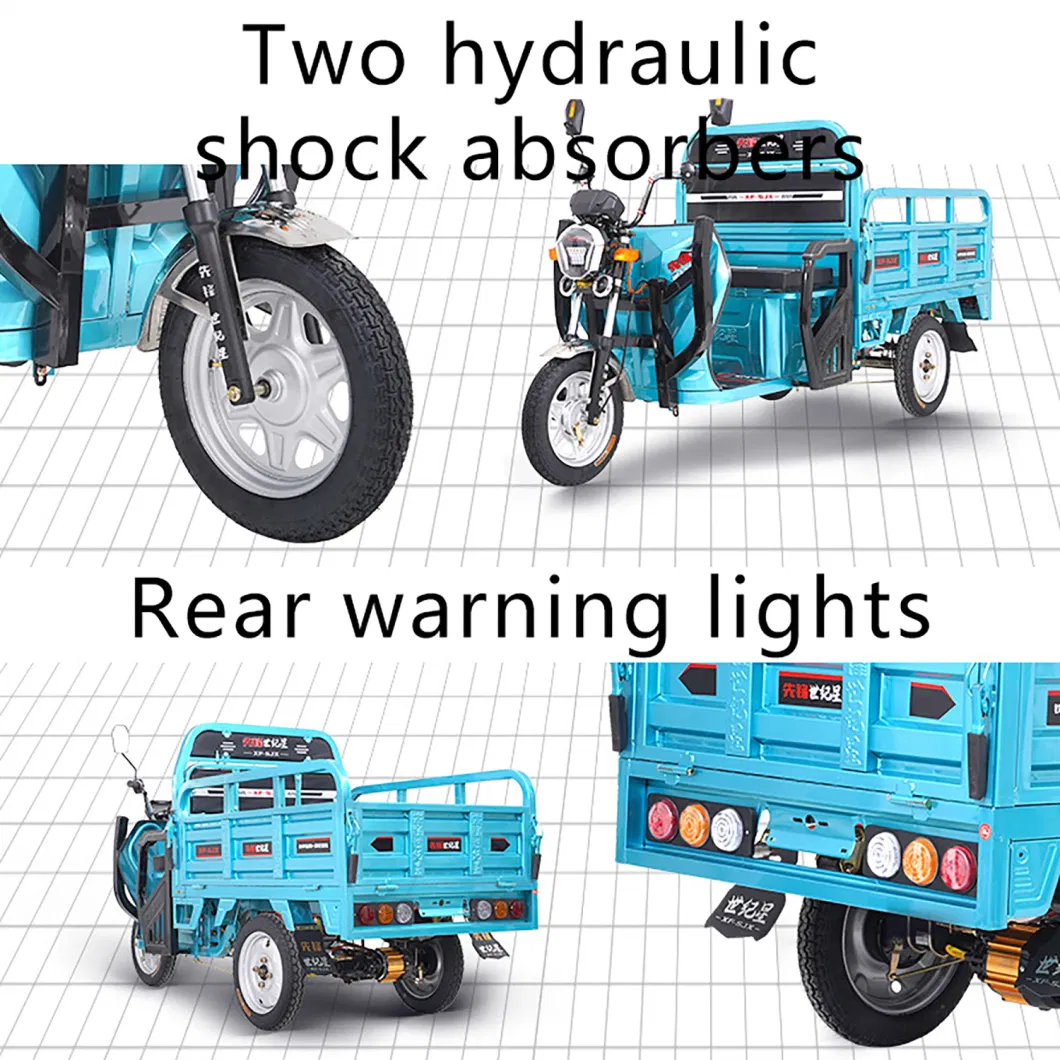 Multi-Purpose Farm Use Load King Three-Wheeled Passenger Freight Transport Electric Tricycle