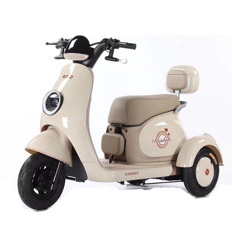 Mini Electric Motorbike 650W Three Wheels Passager Electric Tricycle for Sale