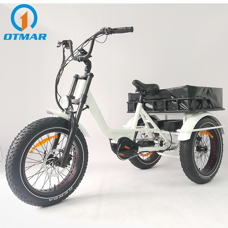 Customized 20&prime;&prime; Fat Tire Electric Cargo Trike MID Drive 3 Wheel Electric Tricycle Dual Battery Mountain Snow E Trike Beach Adult Tricycle with High Quality