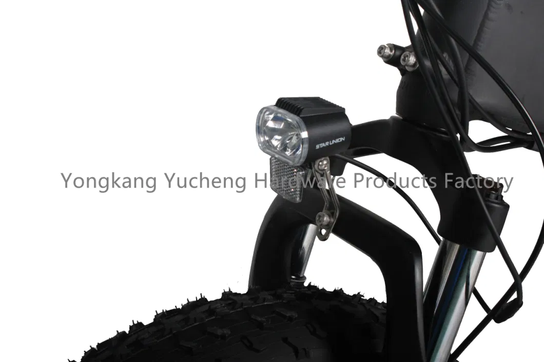 Electric Road Bike with 750W Motor