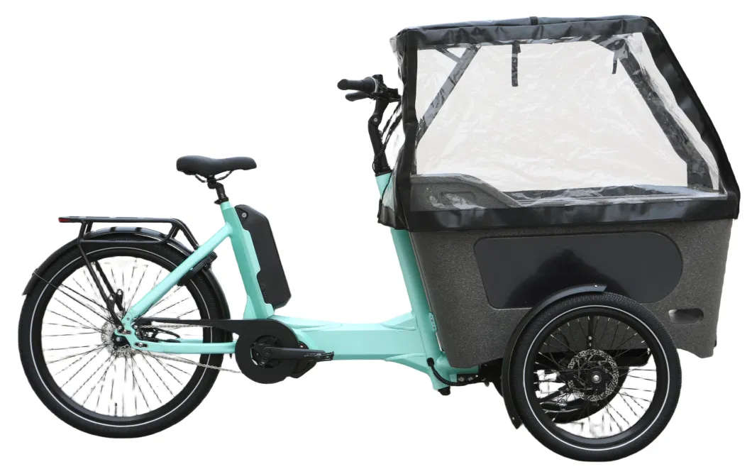 48V250W Cargo Electric Cargo Tricycle Electric Bike for Family with CE