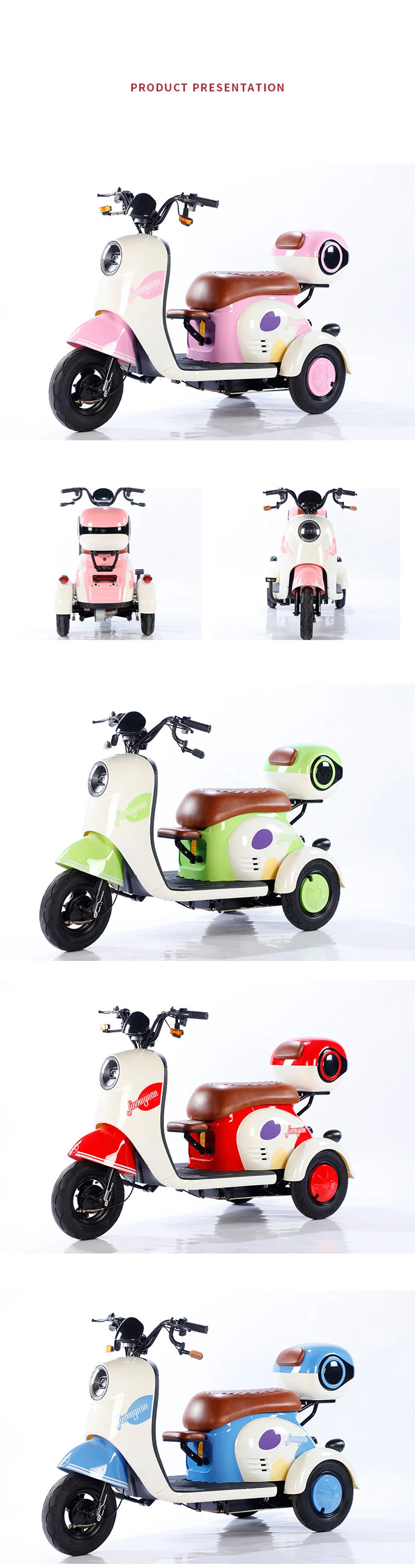 V1 Sightseeing Electric Tricycle Trike with Windshield Wiper Adult Recreational Electric Car