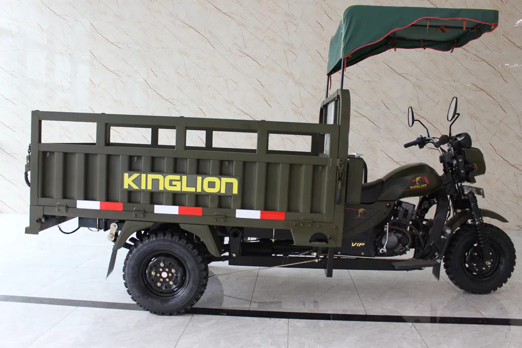 Self Dumping Function Three Wheel Motorized Cargo Tricycle for Burkina Faso