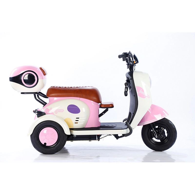 V1 Sightseeing Electric Tricycle Trike with Windshield Wiper Adult Recreational Electric Car