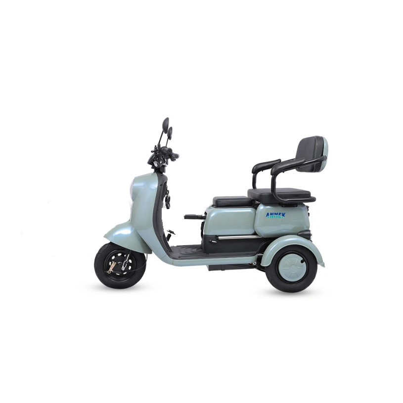 Tricycles Electric for in Motorized Adult Adults Motor 3 Wheel Two Seats Water Sale Gasoline Gas Moto Motoris&eacute; S Kids Tricycle