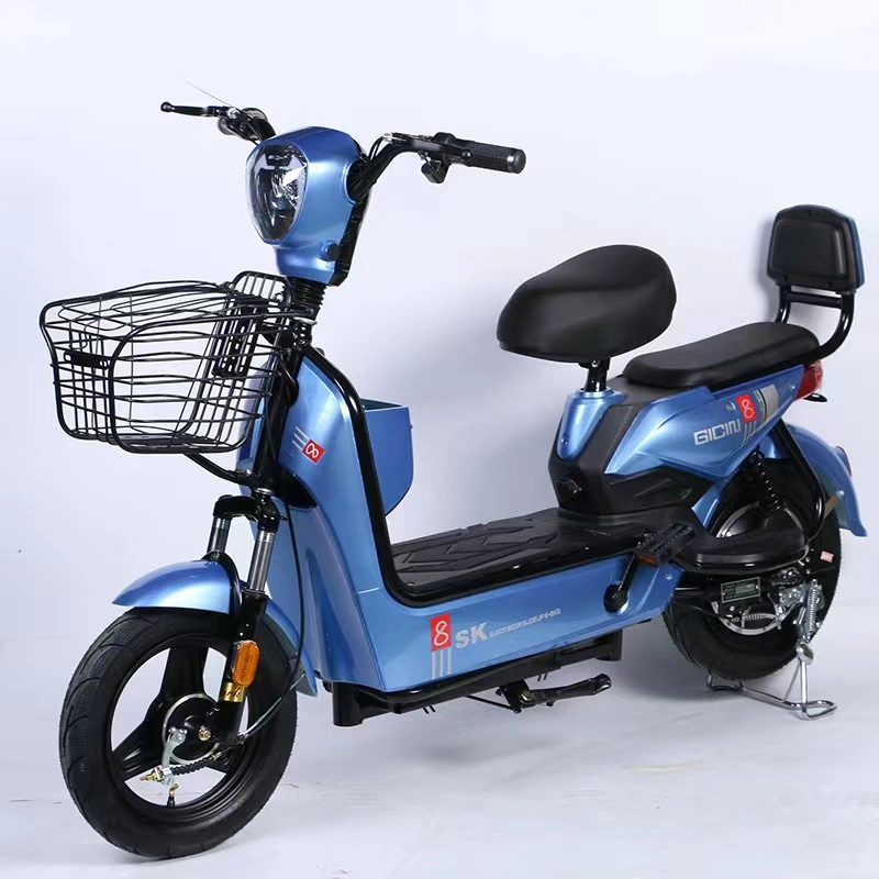 B2b Beach Rental Electric Three-Wheeled Bicycle Processing Factory OEM High Quality and Cheap Wholesale Price