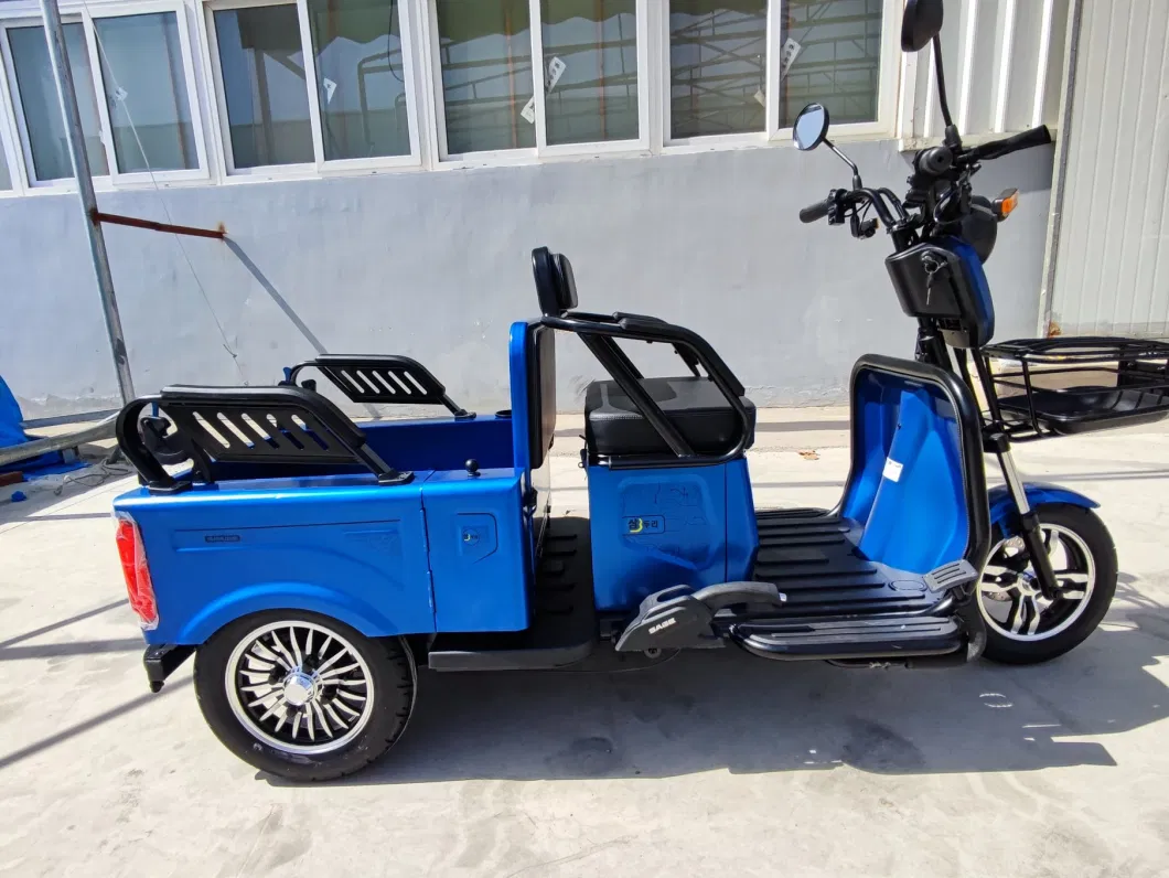 Best Offer EEC Coc Electric Tricycle with Foldable Seat Box for Passenger Elders for Europe