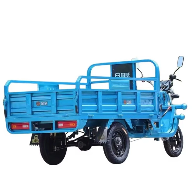 Tricycle Differential Motor Electric Tricycle Three Wheeler Cargo 1200W EEC Cargo Bike