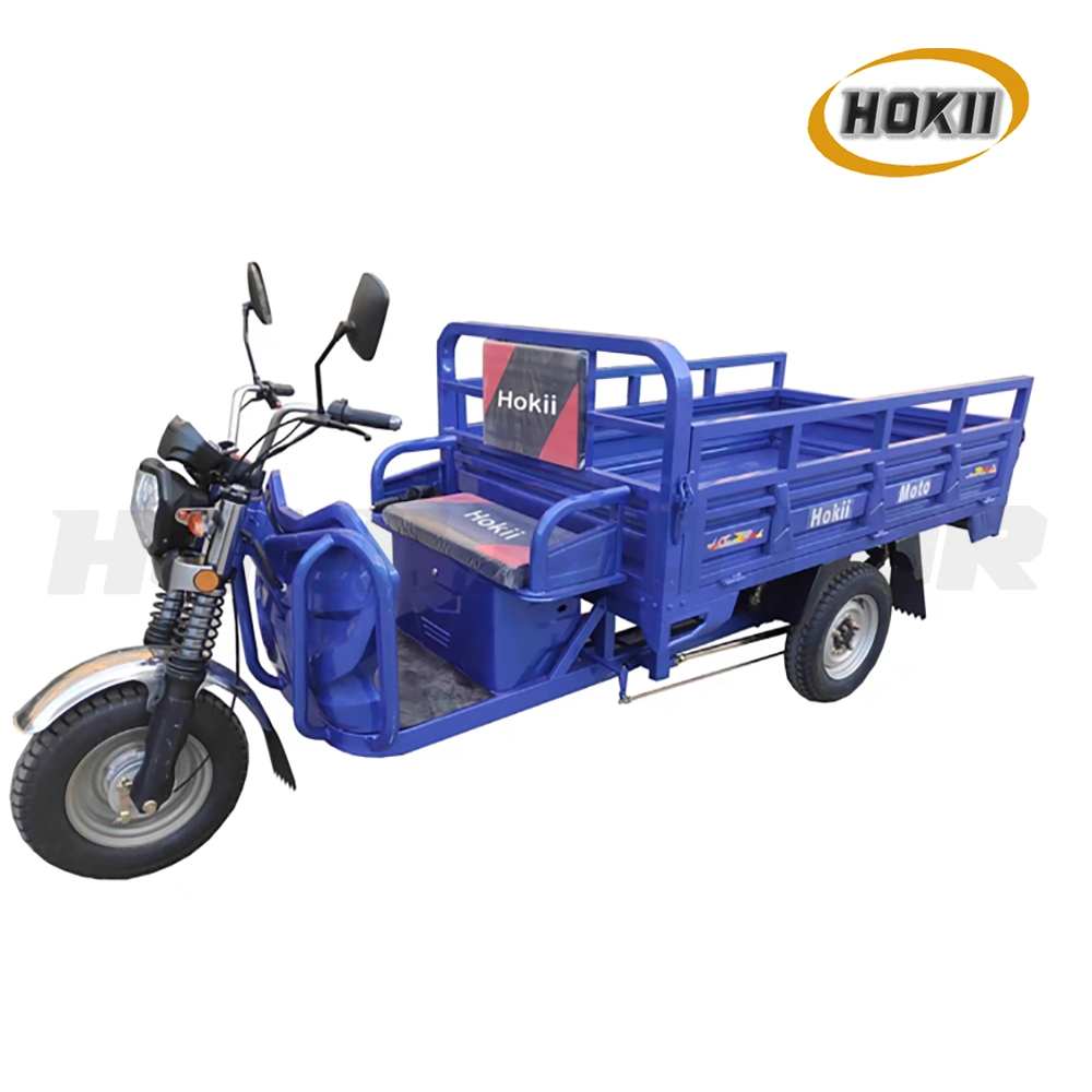 Hokii Motor Manufacturer 1800W Motor Electric Tricycles Three Wheel Adult Triciclo Electrico for Heavy Load Cargo Tricycle Transport