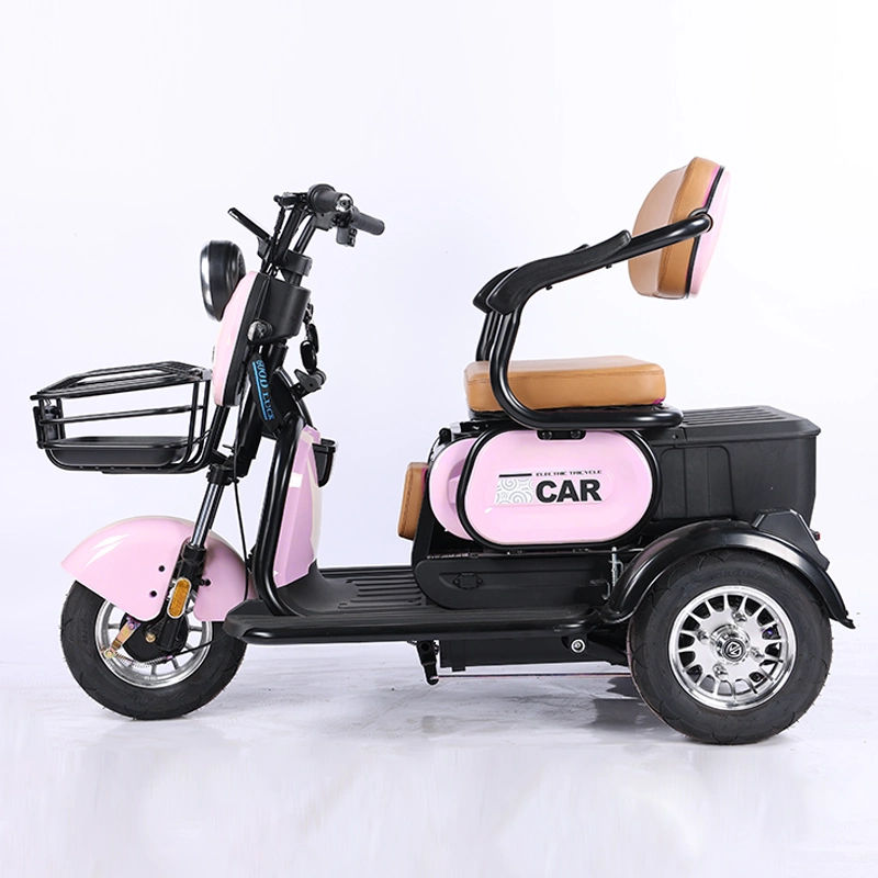 2022 New Arrivals Cheap Electric Tricycle for 2 People Good Quality Safe Driving Electric Tricycle with Passenger Seat