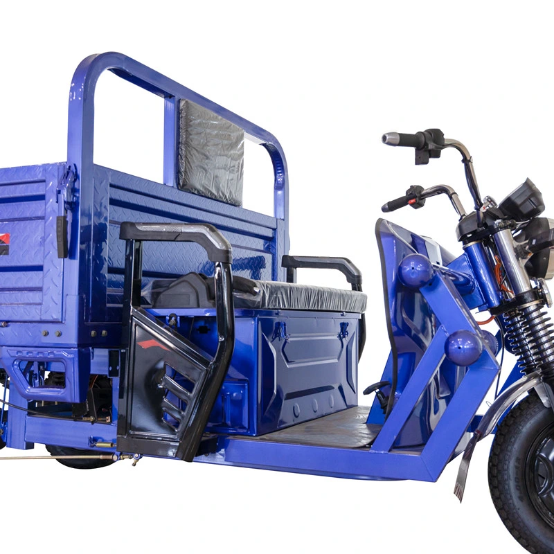 New Model 3 Wheel Electric Three-Wheeled Motorcycle Elderly Electric Trike Tricycle Cargo Bike