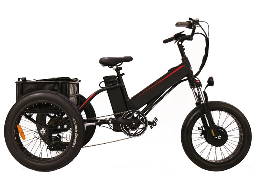 Adult 3 Wheel Tuk Tuk Electric Bicycle