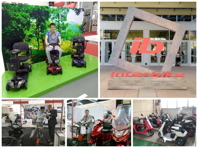 Wholesale 3 Wheel Disabled Scooter Trike, Adult Electric Tricycle for Old People or Disabled (TC-015)