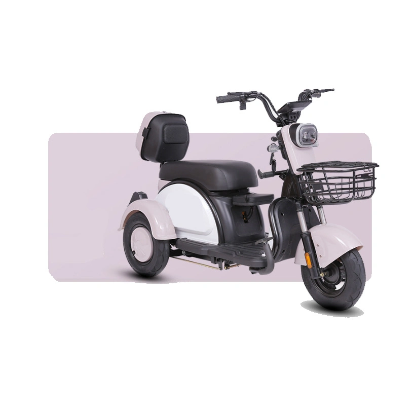 Electric Tricycles 3 Wheel Mini Motor for Cargo Kids Baby Touring Engine 250cc 12V Battery Moteur De Differential Gear Tricycle