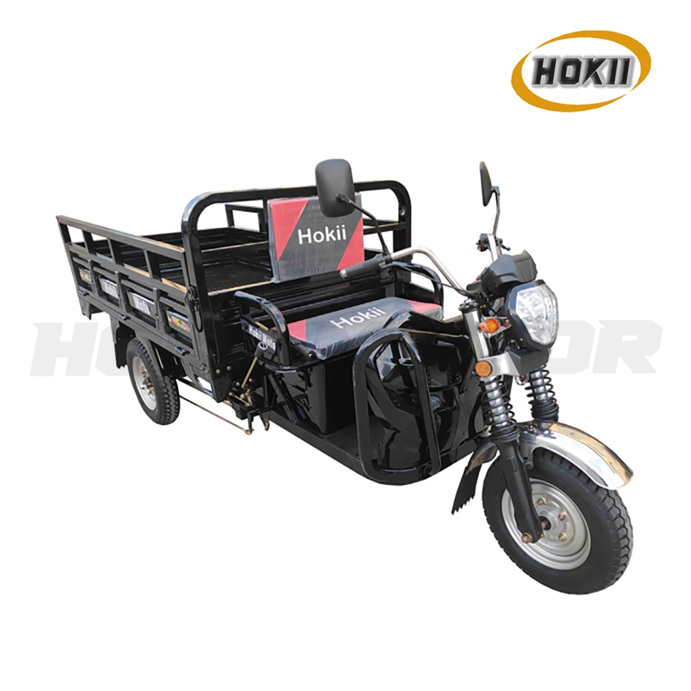 Hokii Motor Manufacturer 1800W Motor Electric Tricycles Three Wheel Adult Triciclo Electrico for Heavy Load Cargo Tricycle Transport