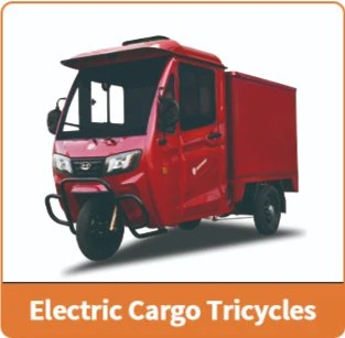 Electric Trike /3 Wheel Electric Tricycle Three Wheels Adult Cargo Electric Bike with Basket