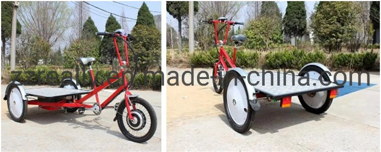 Three Wheels Electric Truck Food Trailer Cart Bike Bicycle for Sale