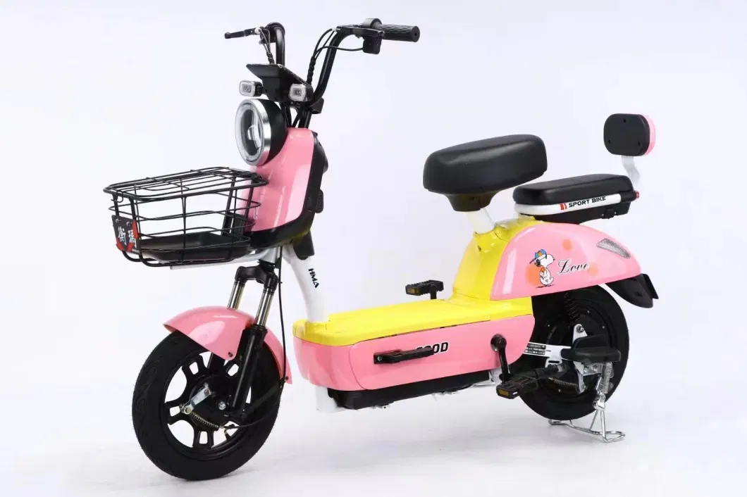 Wholesale of Electric Bikes in Factories/48V12ah Two Wheeled Electric Bikes/Adult Commuting Vehicles