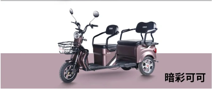 48V/60V 500W Electric Tricycle Front Rear Two Seats for Passenger