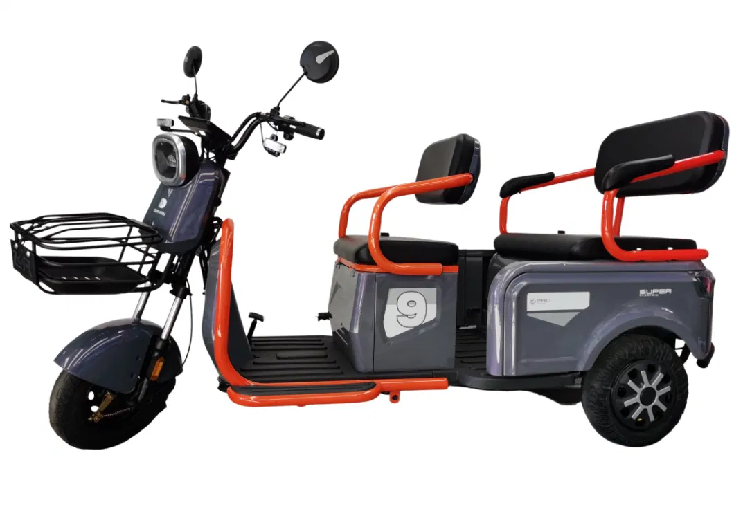 Cheap 3 Wheel Motorized 500W/650W /800W Electric Tricycle Etb Trike