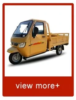 Tuk Tuk Electric Motor with 1000W Three Wheel Tricycle Passenger