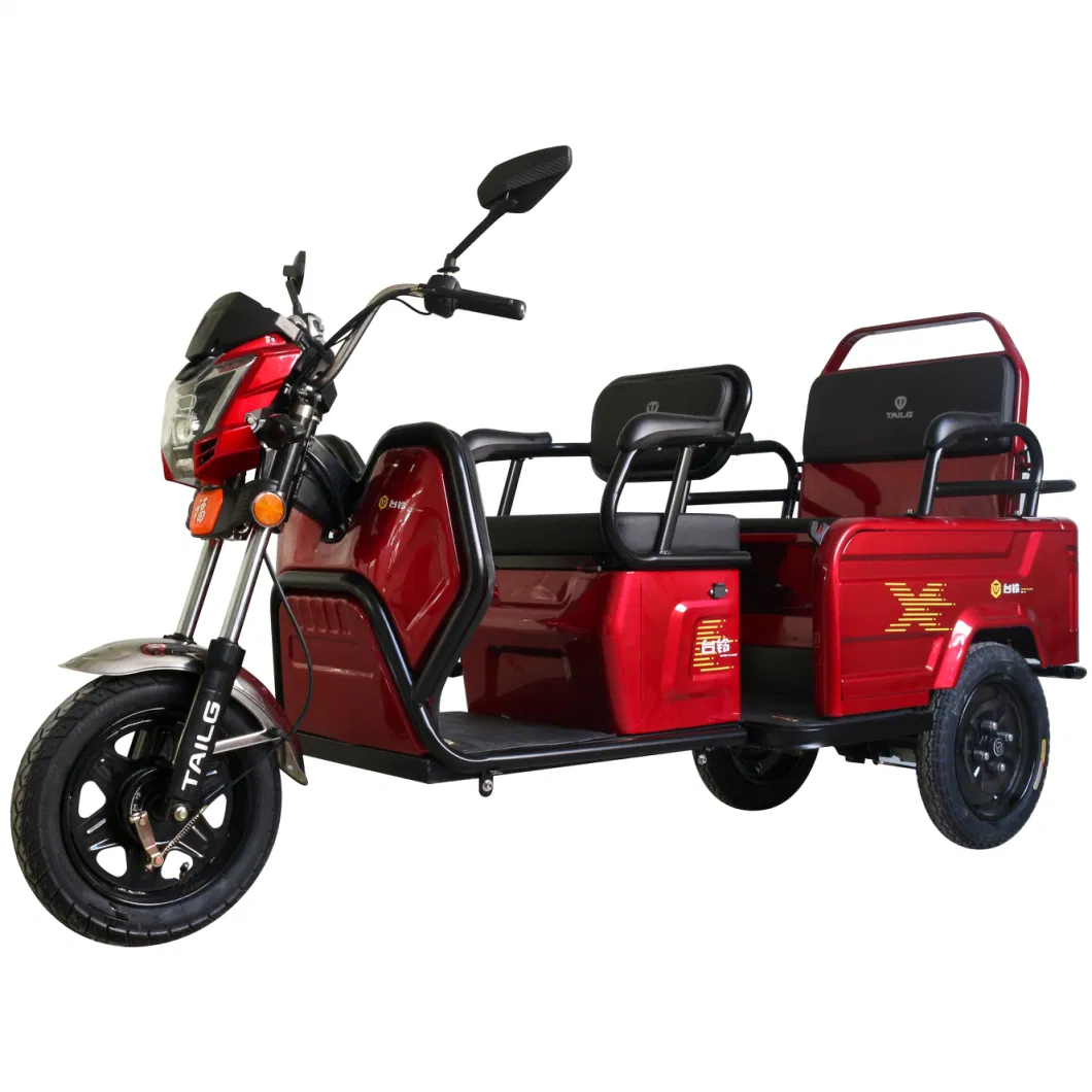 Multipurpose Electric Tricycle with Foldable Rear Seats