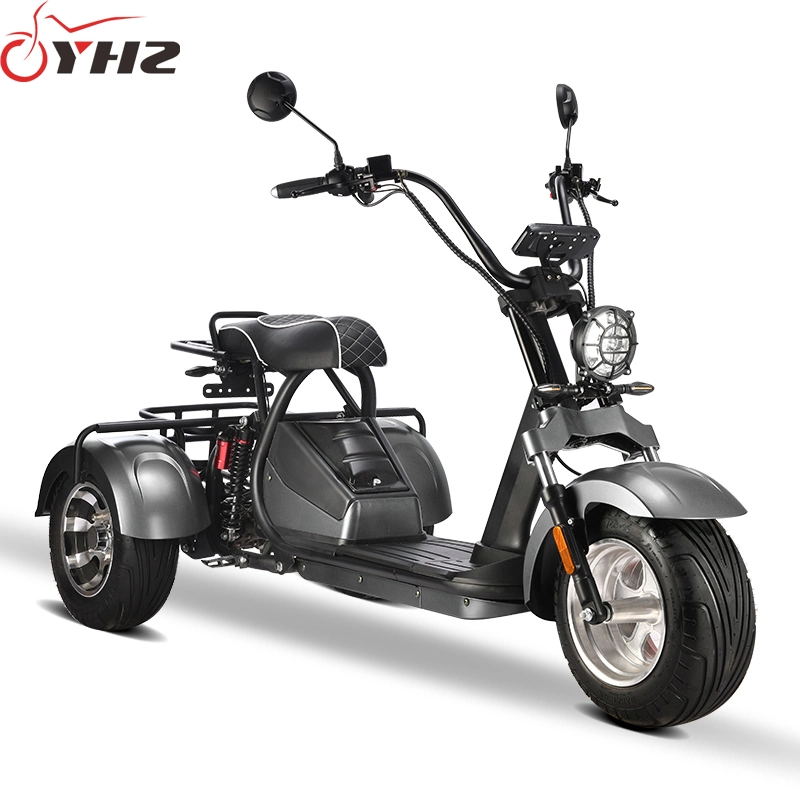 New Three Wheels Electric Motorcycle EEC Approved 2000W Trike with Basket