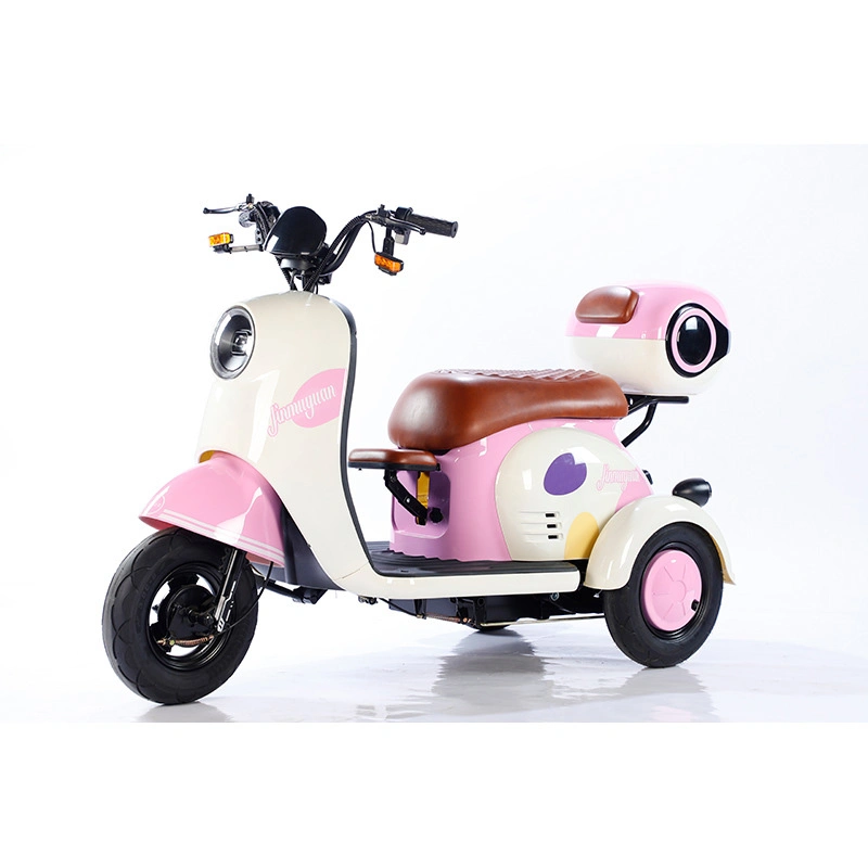 V1 Sightseeing Electric Tricycle Trike with Windshield Wiper Adult Recreational Electric Car