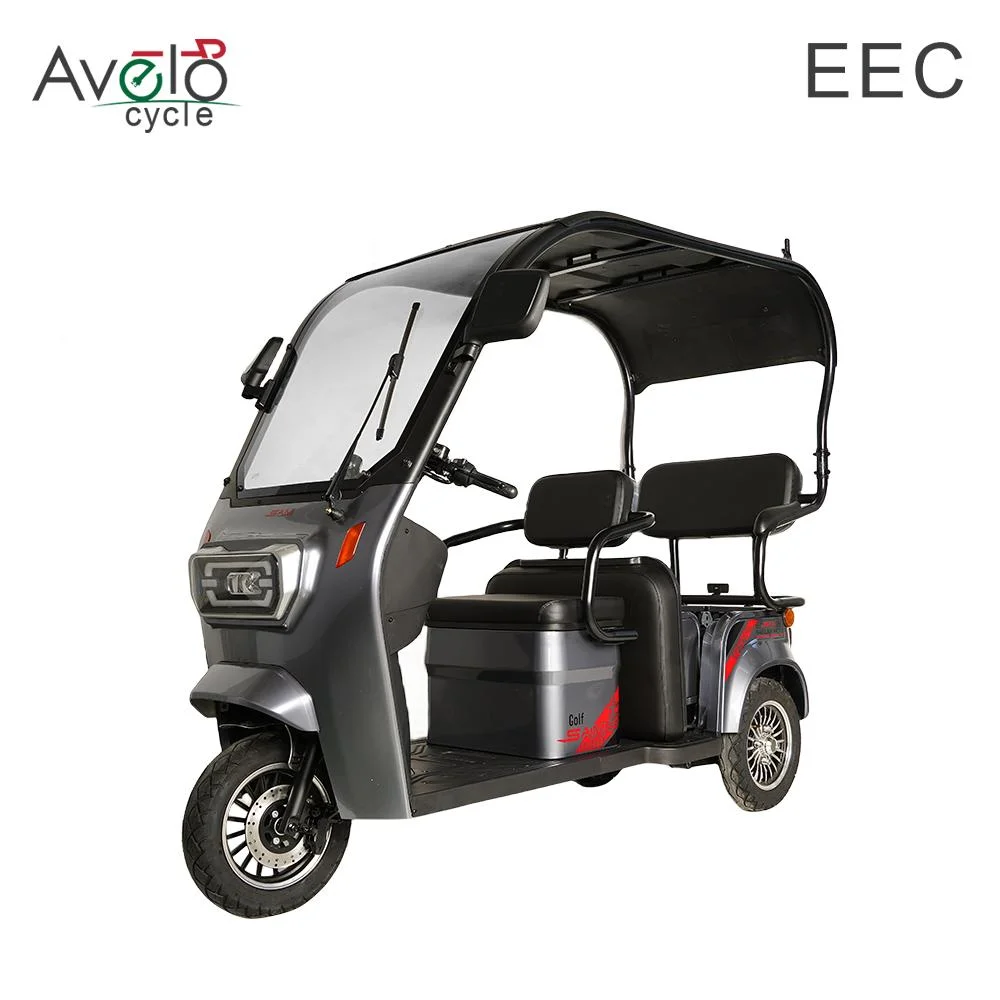 China Manufacturer Price Electric Tricycle Mobility 3 Wheel Electric Tricycle