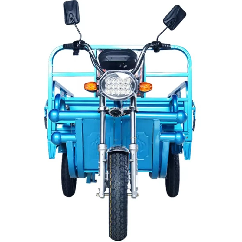 Tricycle Differential Motor Electric Tricycle Three Wheeler Cargo 1200W EEC Cargo Bike